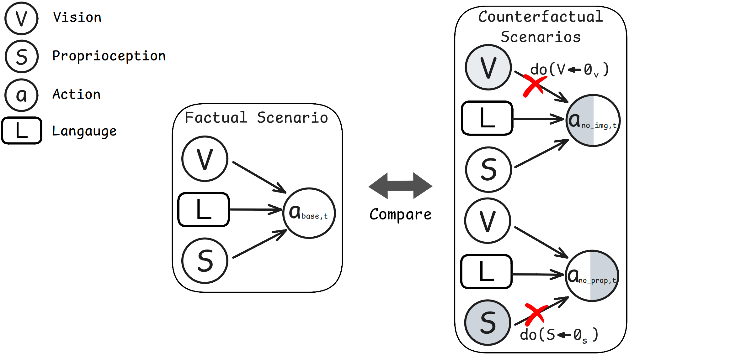 Causal Graph